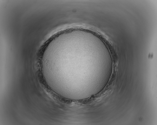 X0000097601496200803141905