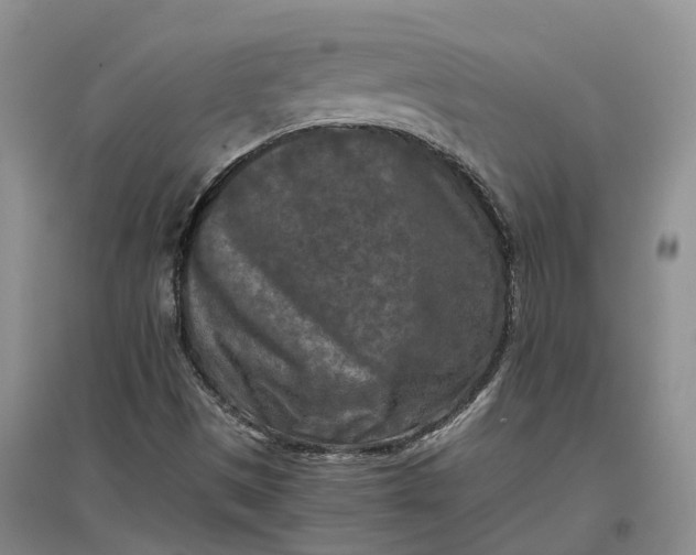 X0000097601497200803141905