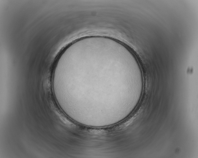 X0000097601498200803141905