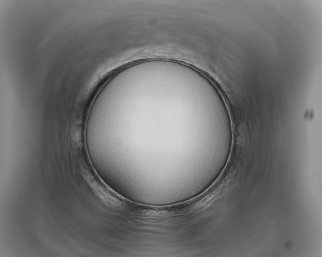 X0000097601499200803141905