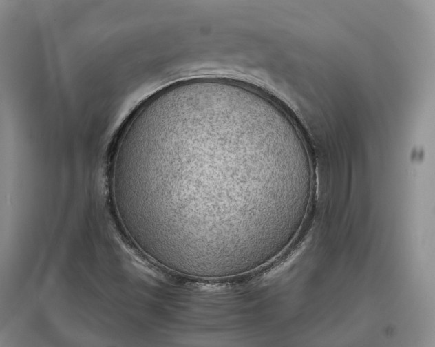 X0000097601501200803141905