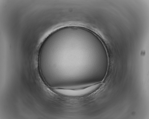 X0000097601504200803141905
