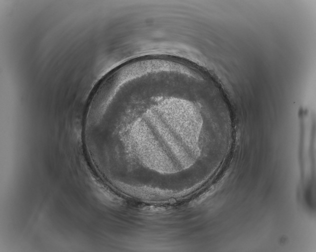 X0000097601505200803141905