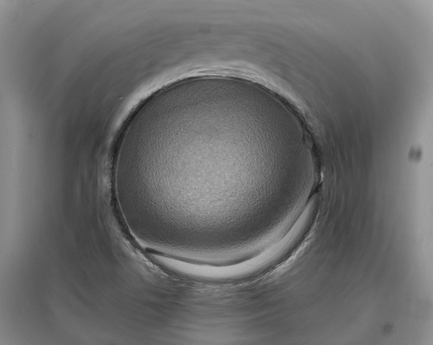 X0000097601506200803141905