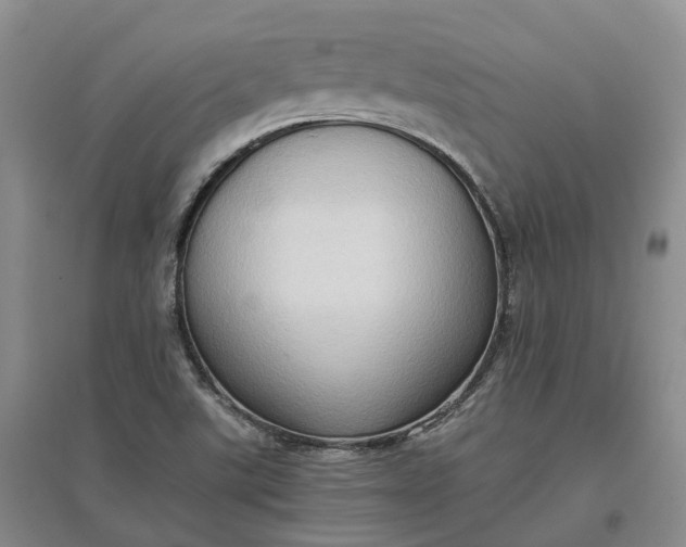 X0000097601507200803141905