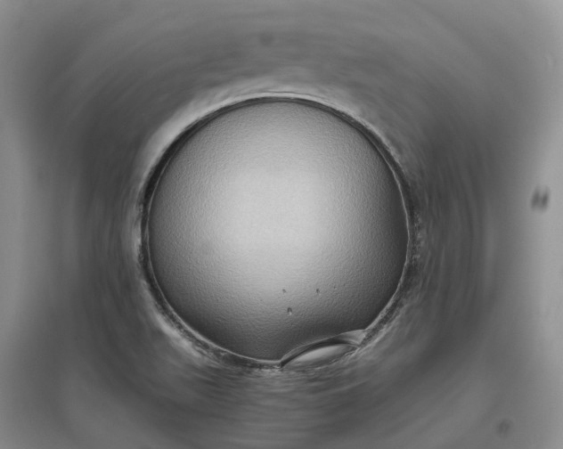 X0000097601511200803141905