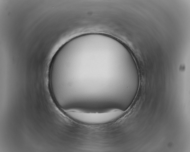 X0000097601512200803141905