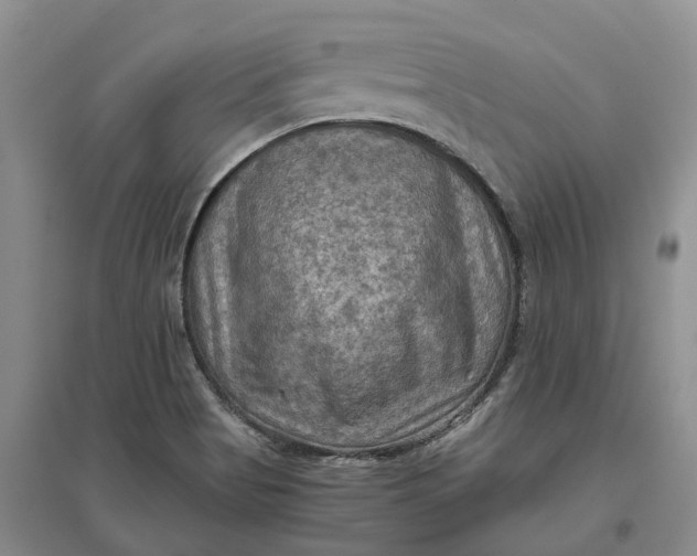 X0000097601513200803141905