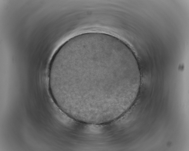 X0000097601514200803141905