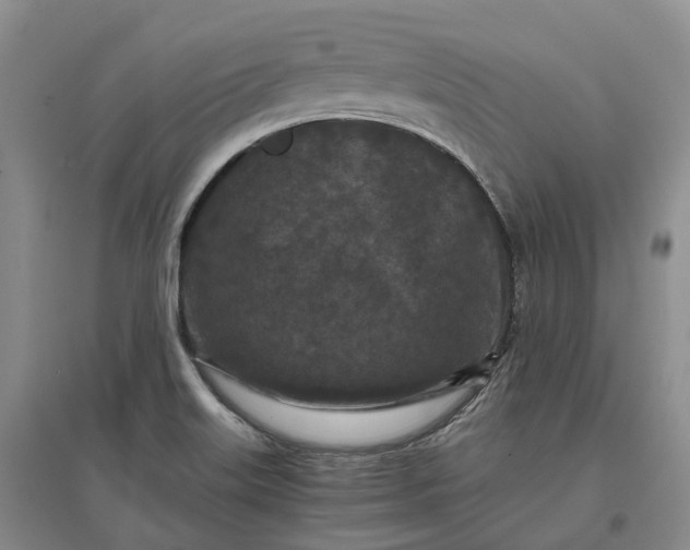 X0000097601515200803141905