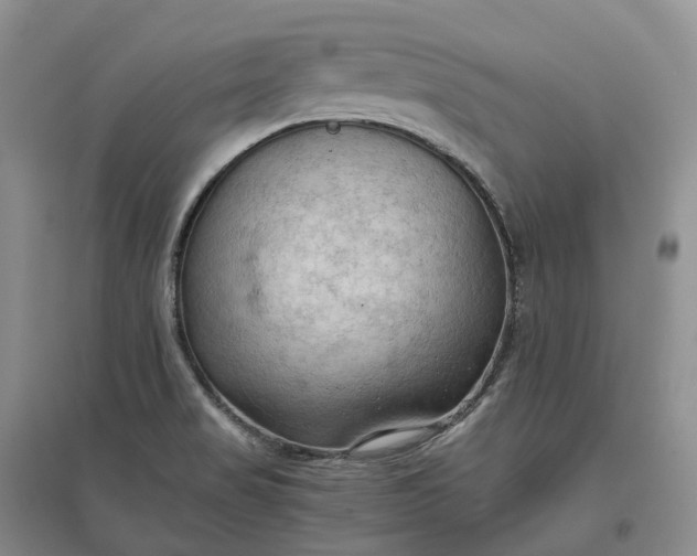 X0000097601517200803141905