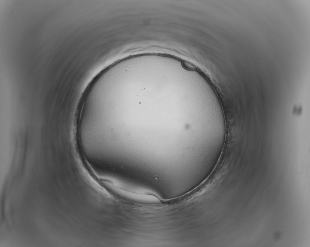 X0000097601518200803141905