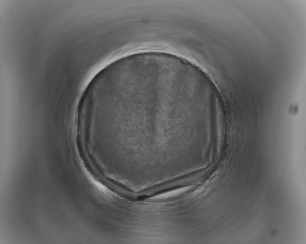 X0000097601519200803141905