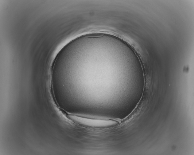X0000097601520200803141905