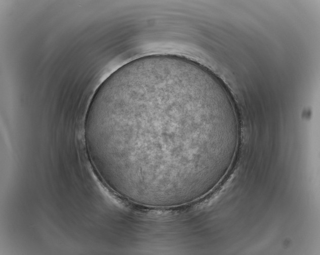 X0000097601521200803141905