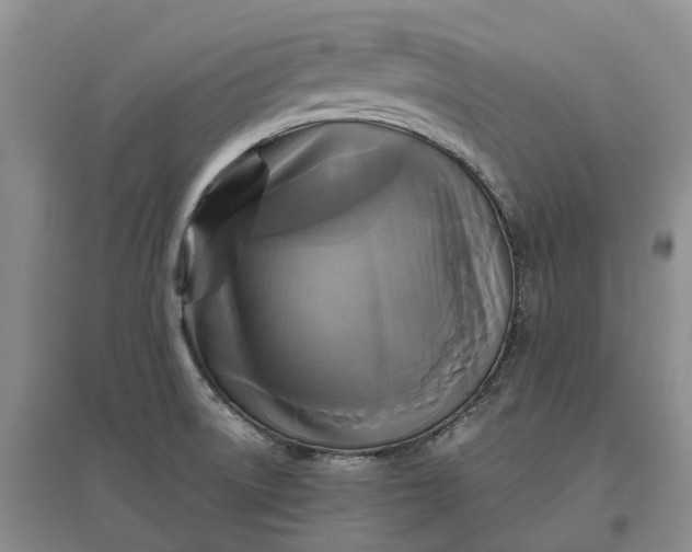 X0000097601522200803141905