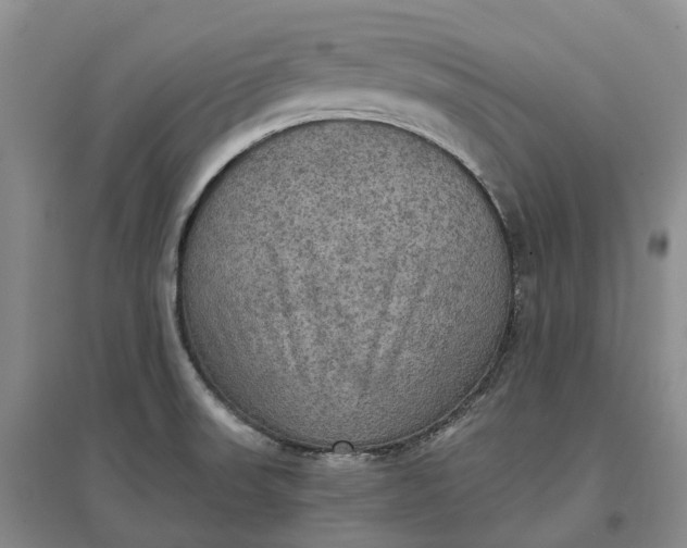 X0000097601523200803141905