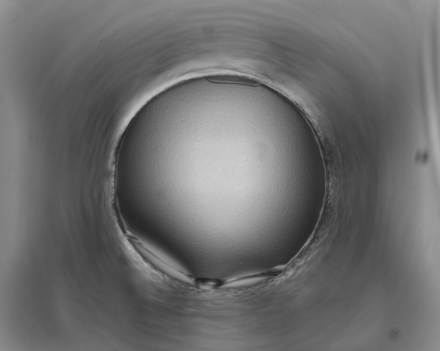X0000097601524200803141905