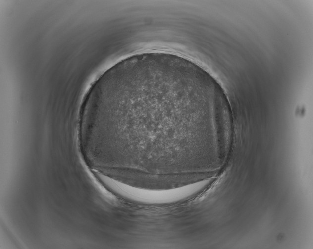 X0000097601525200803141905