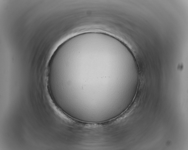 X0000097601526200803141905
