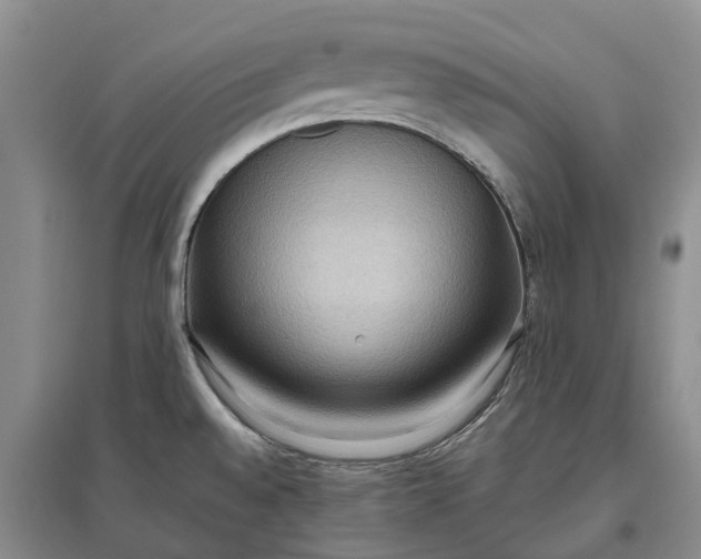 X0000097601528200803141905