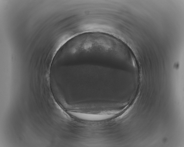 X0000097601529200803141905