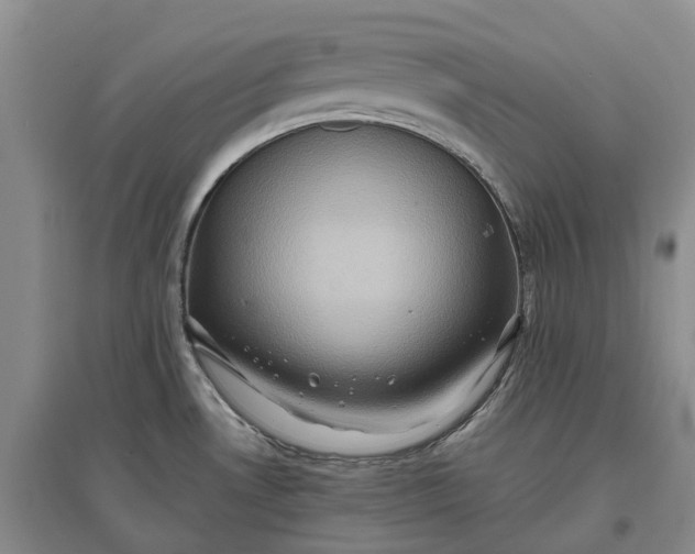X0000097601530200803141905