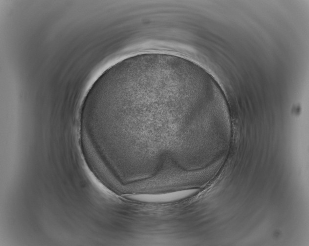 X0000097601531200803141905