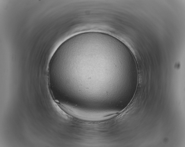 X0000097601532200803141905