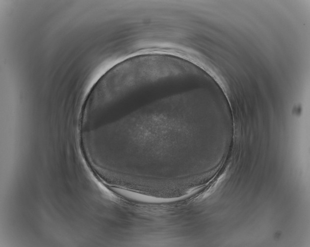 X0000097601533200803141905