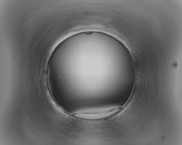 X0000097601534200803141905