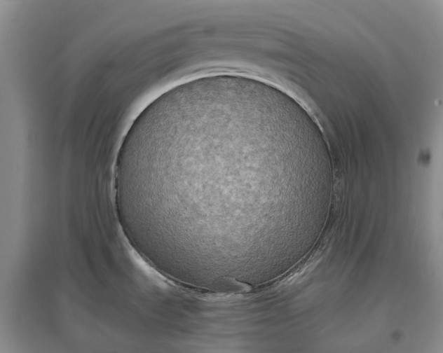 X0000097601535200803141905