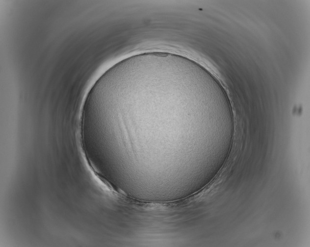 X0000097601536200803141905