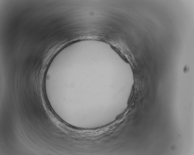 X0000097600001200803211710