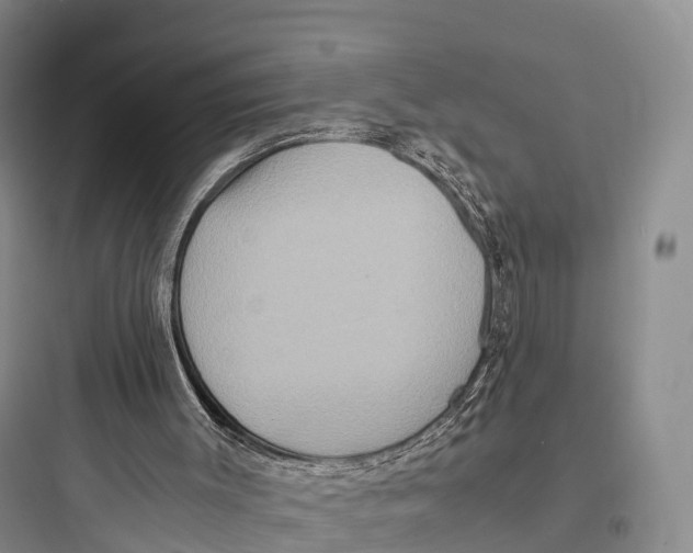 X0000097600003200803211710