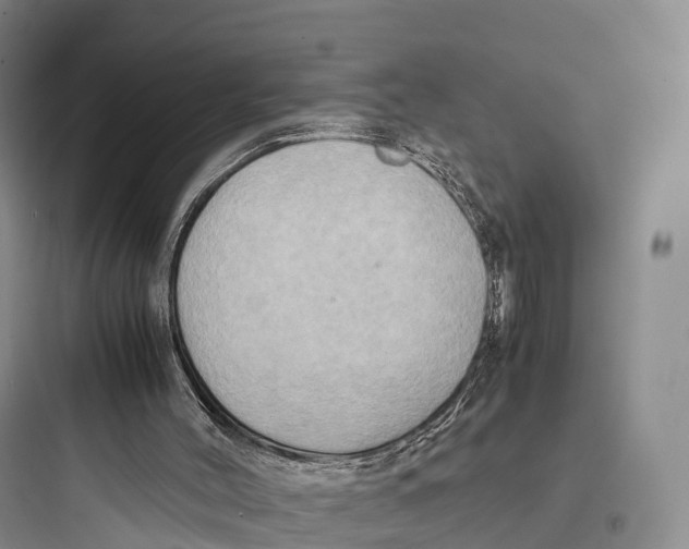 X0000097600004200803211710