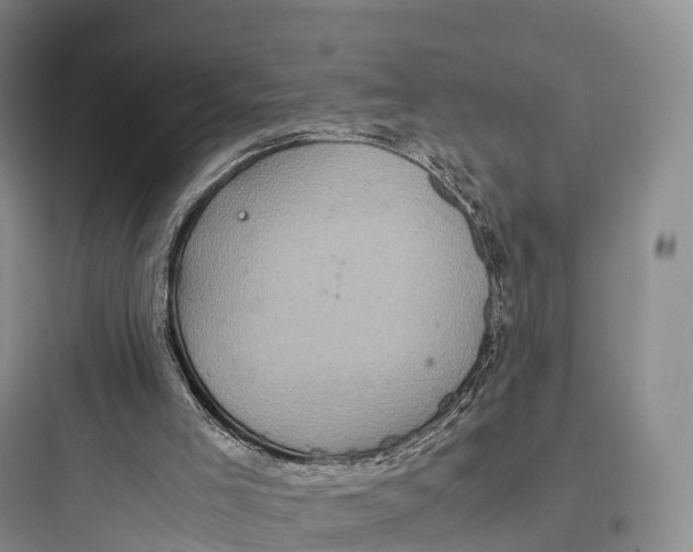 X0000097600005200803211710