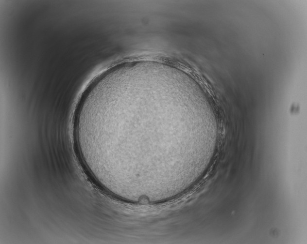 X0000097600006200803211710