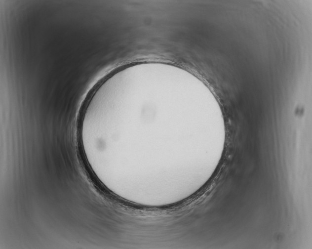 X0000097600008200803211710