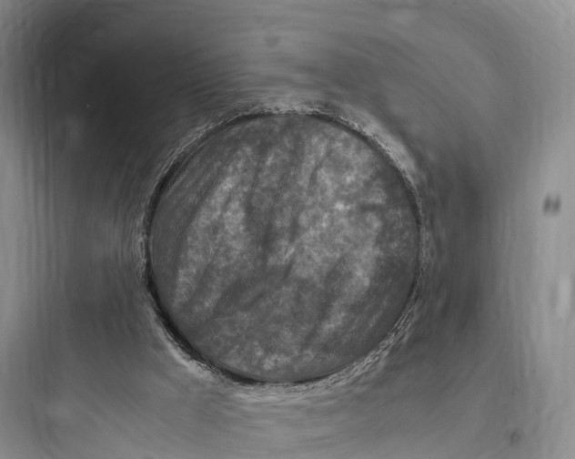 X0000097600009200803211710