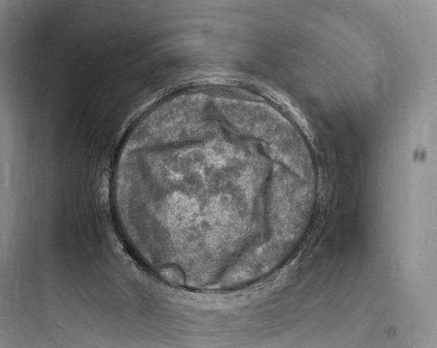 X0000097600010200803211710