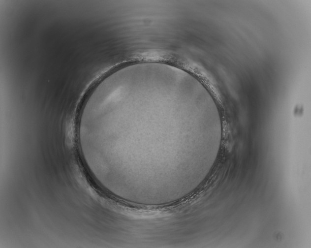 X0000097600012200803211710