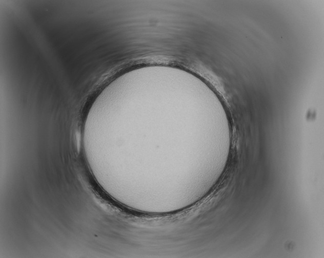 X0000097600013200803211710