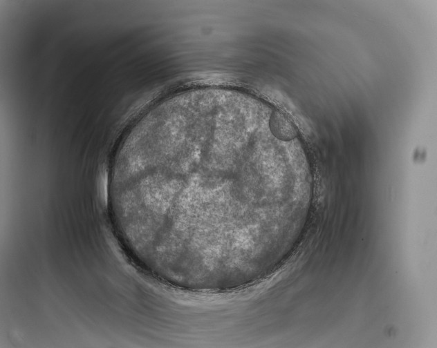 X0000097600014200803211710