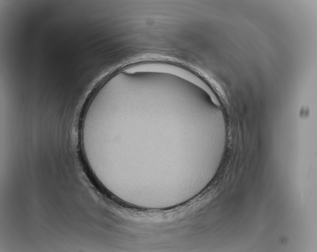 X0000097600015200803211710