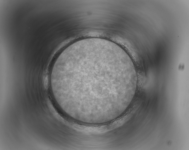 X0000097600016200803211710