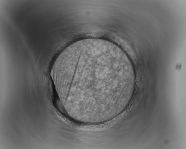 X0000097600017200803211710