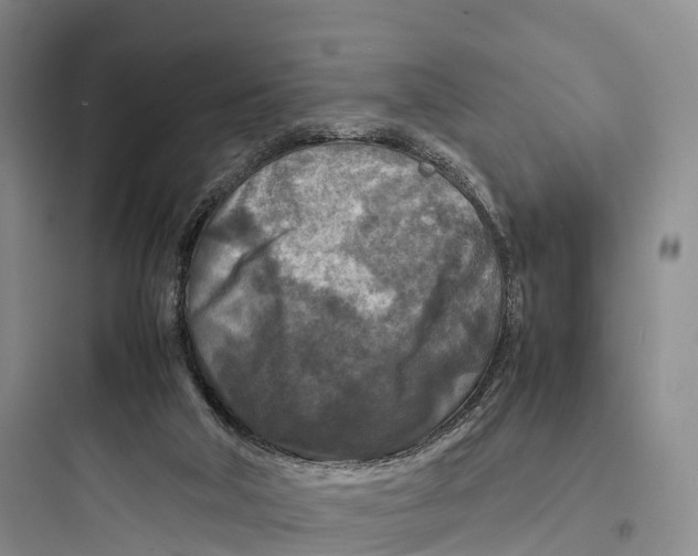 X0000097600018200803211710