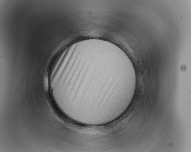 X0000097600020200803211710