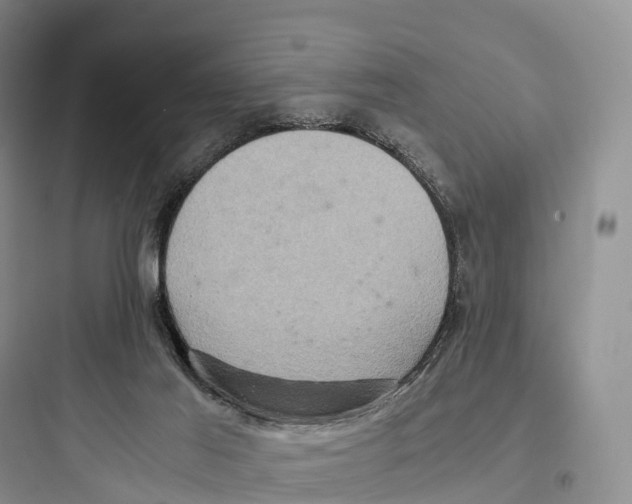 X0000097600021200803211710